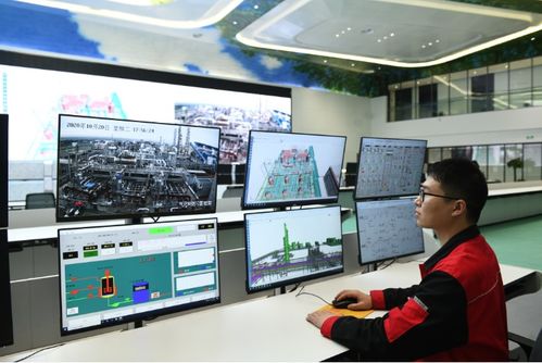 面向數(shù)字化未來，打造化工百年老店的信息技術(shù)咨詢服務(wù)